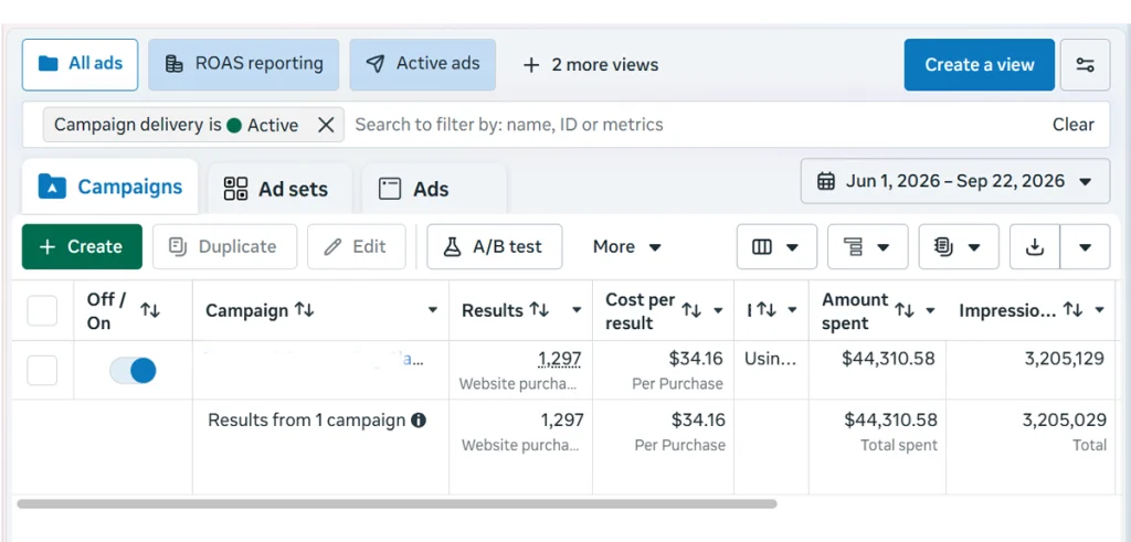 Screenshot showing Facebook ads manager performance.