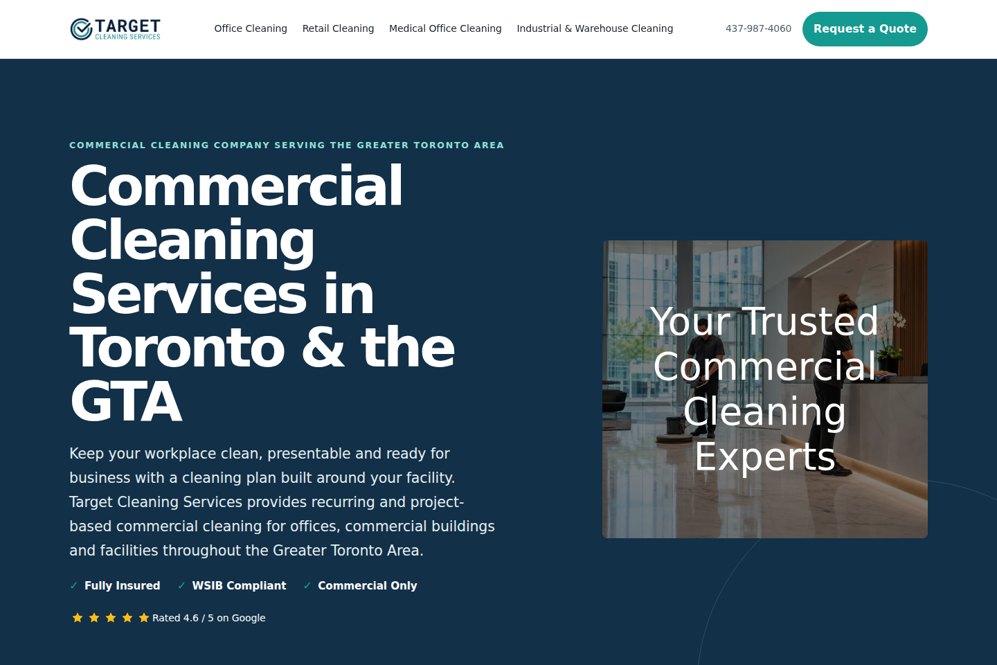 Target Cleaning website screenshot